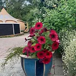 Romantic Luxus Glamping 3 *
