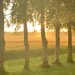 Luxury tent Romantic Luxus Glamping 3 *