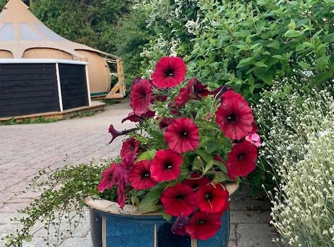 Romantic Luxus Glamping 3 *