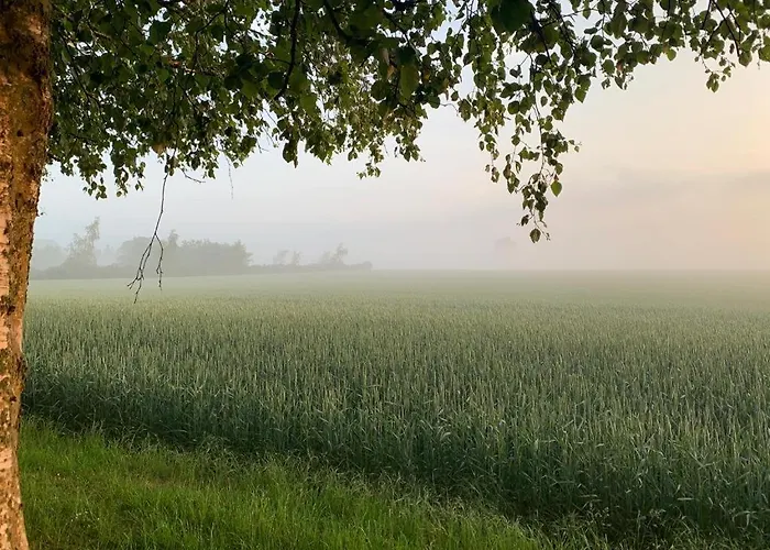 럭셔리텐트 Romantic Luxus Glamping 3 *